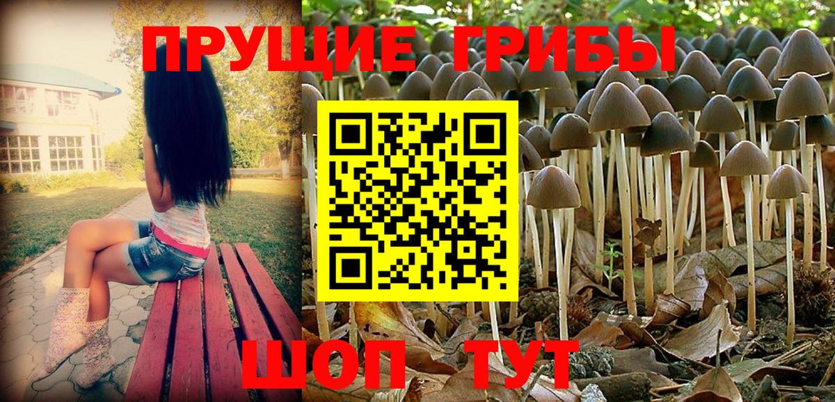 Кунгур  купить  сайты  Вход с VPN  Псилоцибиновые грибы Magic Shrooms 